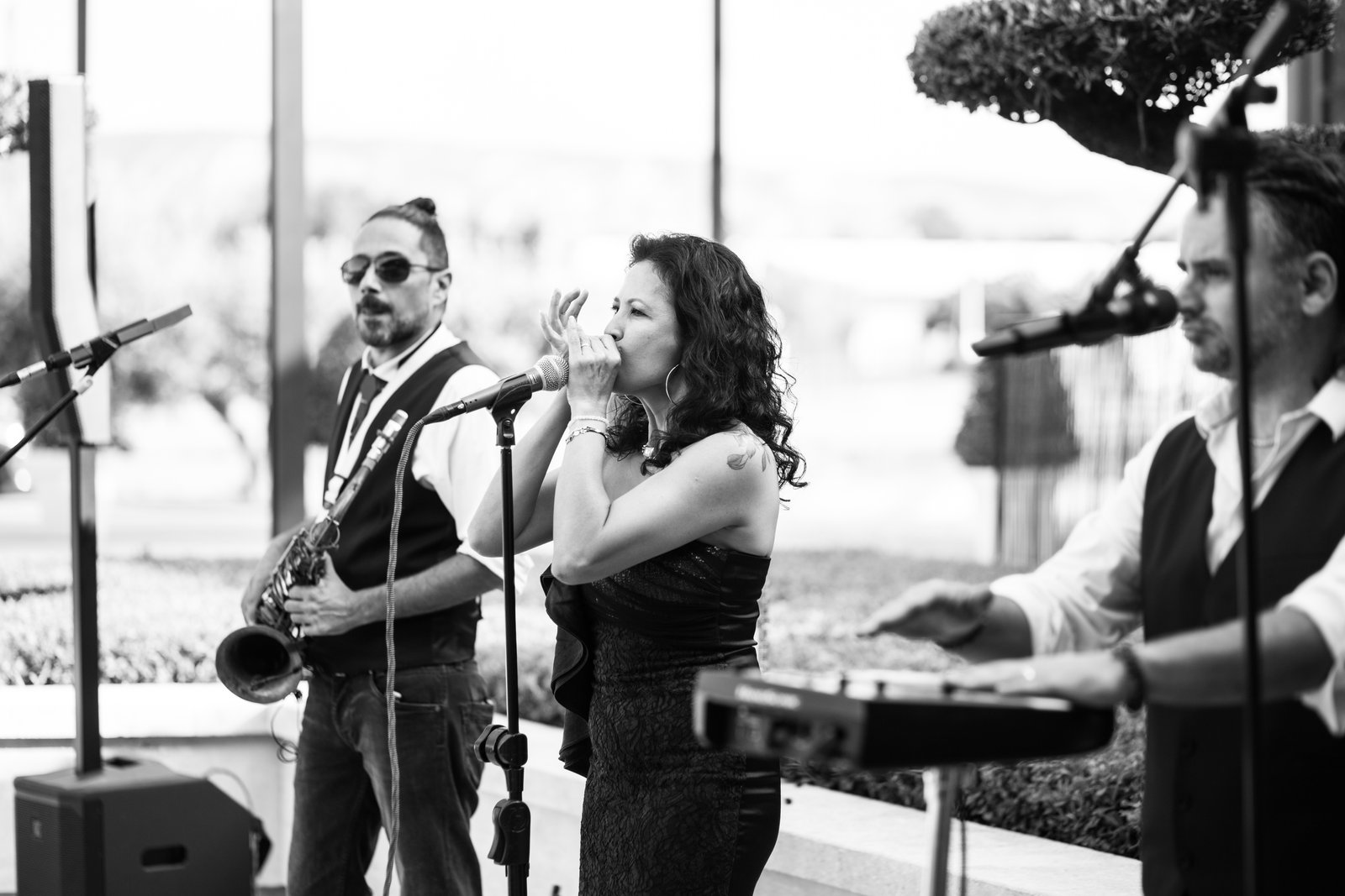 Show Time Live Band en concert